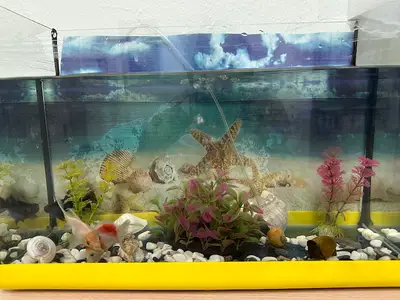 Aqua Center