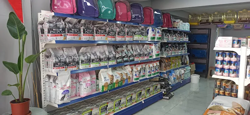 Petopia Veteriner Kliniği foto 1