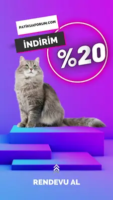 Evcil Hayvan Kuaförü