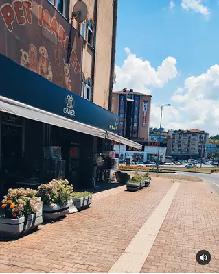 Caner Akvaryum & PETSHOP