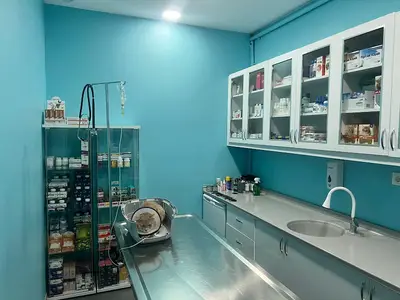 Ümraniye Akça Veteriner Kliniği