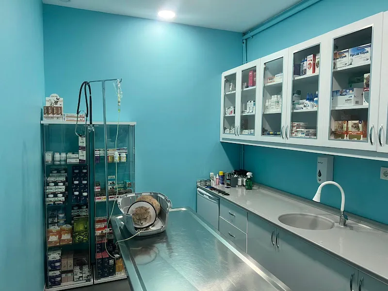 Ümraniye Akça Veteriner Kliniği foto 1