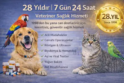 Ece Pet Veteriner Kliniği