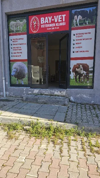 BAY-VET Veteriner Kliniği foto 2