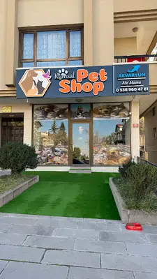 Kumsal Pet Shop Akvaryum