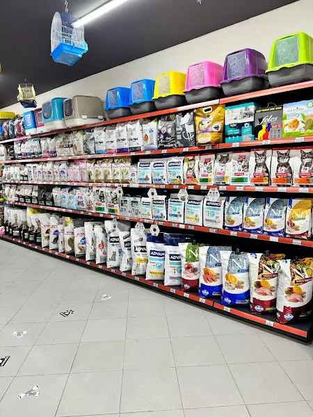 Kumsal Pet Shop Akvaryum foto 2