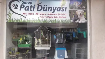 Sinop Pati Dünyası