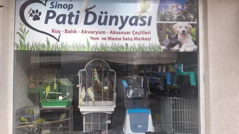 Sinop Pati Dünyası foto 1