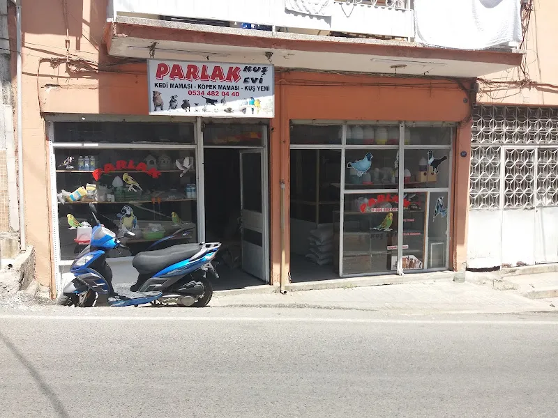 Parlak Kuş Evi foto 2