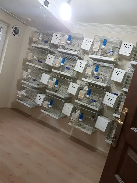 Samed kuş evi foto 2