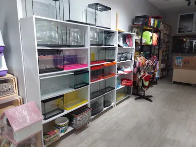 Balıkyolu PETSHOP -Akvaryum