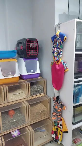 Balıkyolu PETSHOP -Akvaryum foto 2