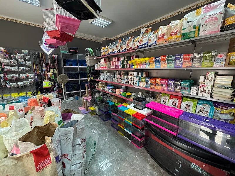 Göker Petshop 2 foto 2