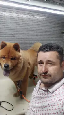 STAR PET KUAFÖR BAKİM