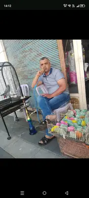 Zengin petshop