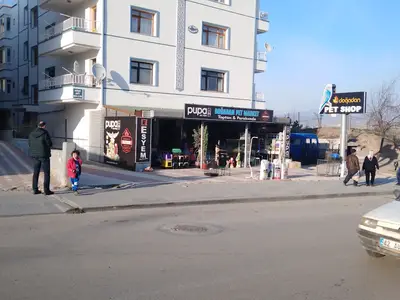 DOĞADAN PETSHOP AKVARYUM