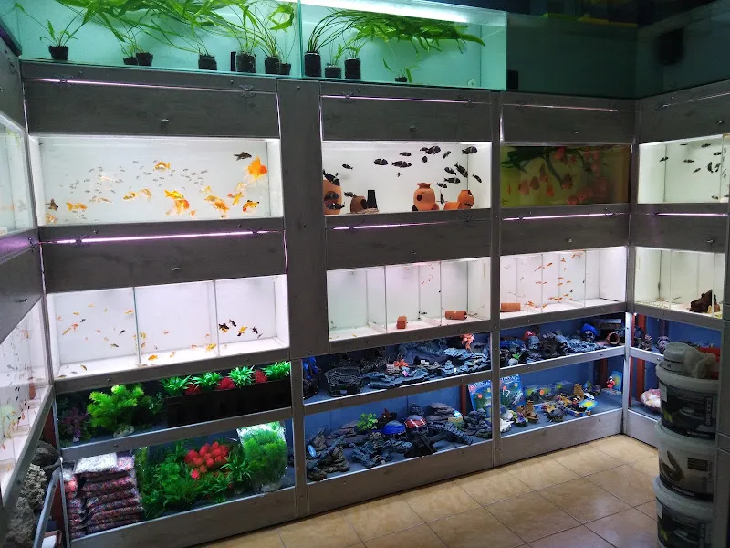 DOĞADAN PETSHOP AKVARYUM foto 2