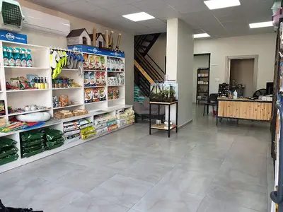 Dream Veteriner Kliniği