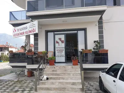 Cığırgan veterinerlik