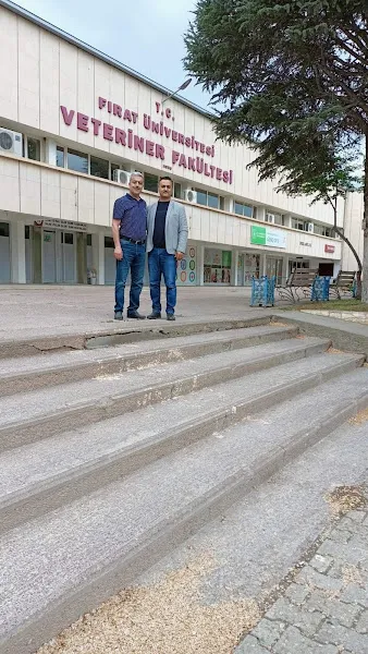 Bizim veteriner kliniği foto 2