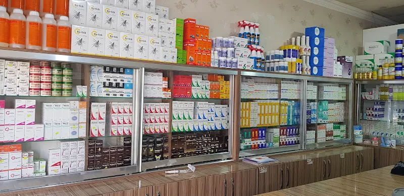 Uzman veteriner kliniği foto 1