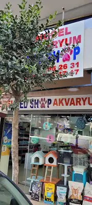 Model petshop akvaryum