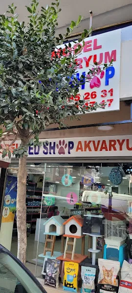 Model petshop akvaryum foto 1