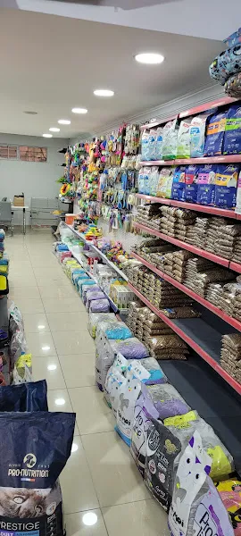 Model petshop akvaryum foto 2