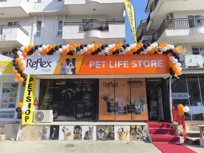 Pati Petshop