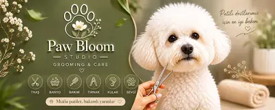 Paw Bloom Studio (Pet Kuaförü)