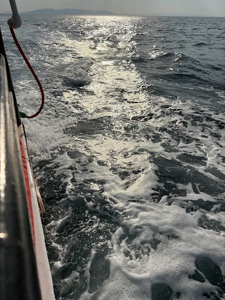 Dikili Tekne Turu Istakoz Tur foto 2