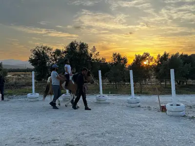 Horse & Dog Academy - Mersin Silifke At Çiftliği, Köpek Oteli ve Kahvaltı