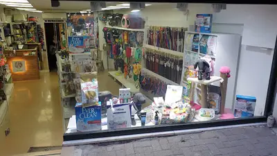 Pet Point