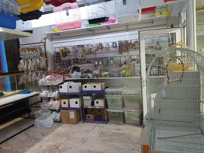 Elifim Akvaryum & Petshop | Yazıçarşı
