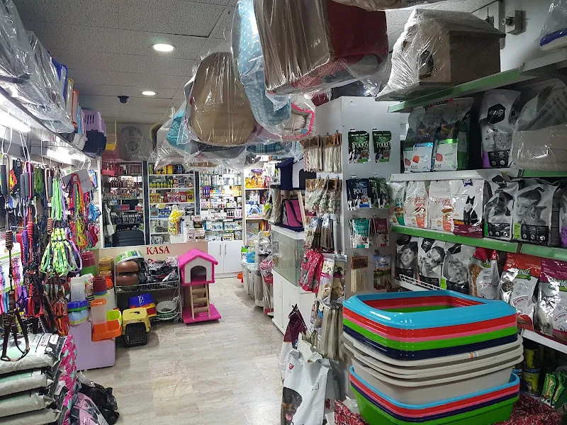 Elifim Akvaryum & Petshop | Yazıçarşı foto 2