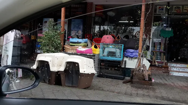 Aqua Kent Pet Market foto 2