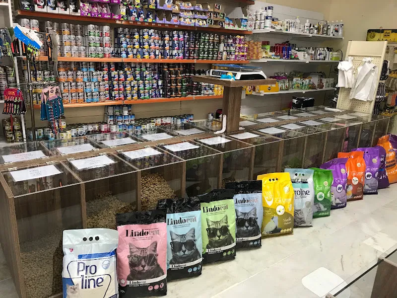 Bereket Yemcilik&Pet Shop foto 2