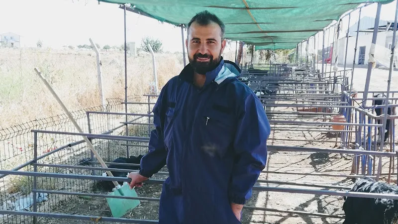 KARAKURT VETERİNER KLİNİĞİ foto 1
