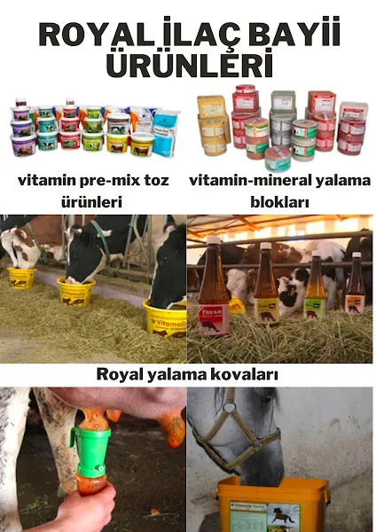 Veteriner Hekim Adem Özdemir foto 2