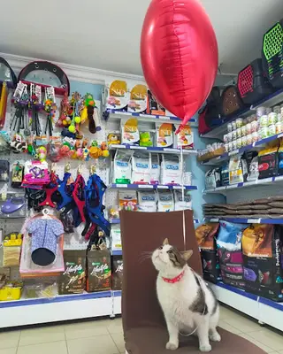 Şifa Veteriner Kliniği