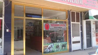 Umut Vet