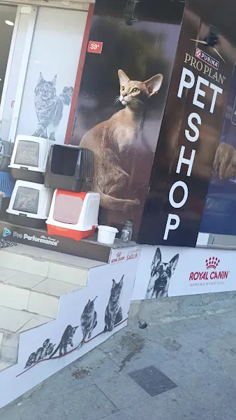 PET SARAYI PETSHOP foto 2