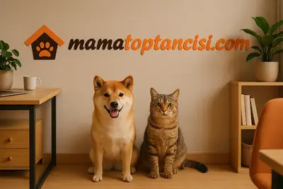 Mama Toptancısı | Toptan Kedi & Köpek Maması