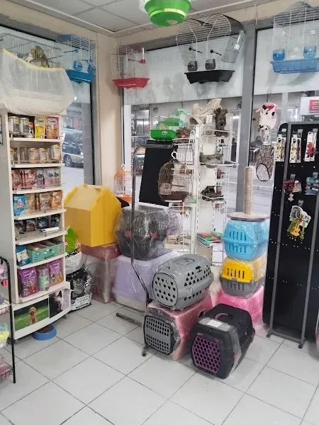 09 PETSHOP foto 2
