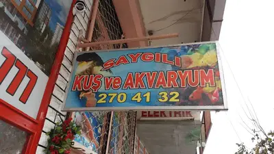 Saygılı Kuş ve Akvaryum