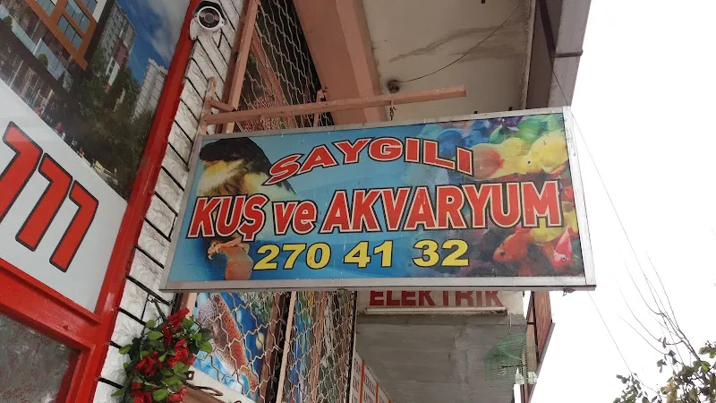 Saygılı Kuş ve Akvaryum foto 1