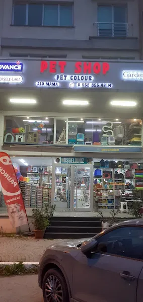 Damla Petshop foto 2