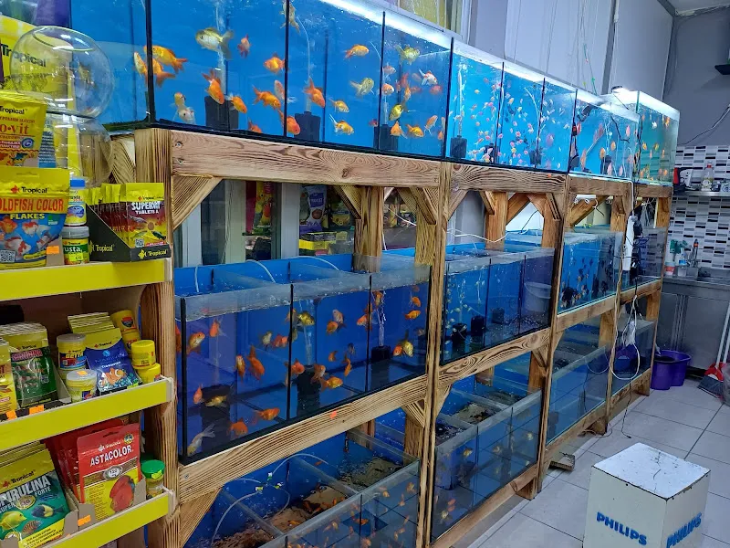 Maltepe Pet shop foto 2