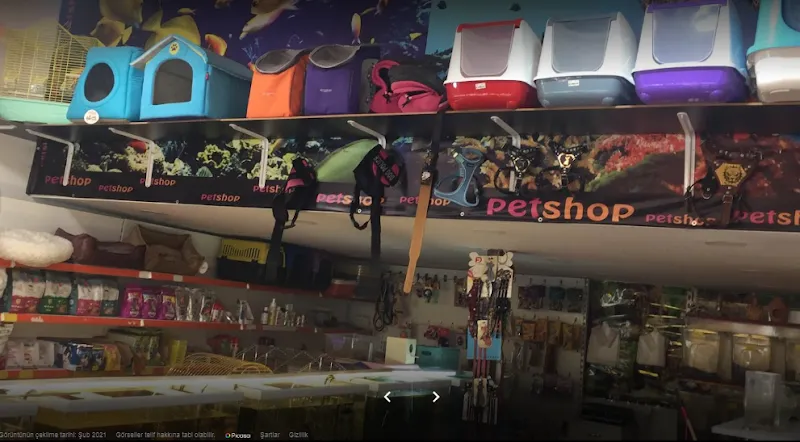 NİSA PETSHOP foto 2