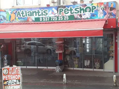 sultanbeylipetshop